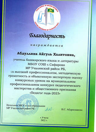 эсперт Педагог года111.jpg