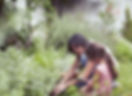 Kids in the Garden