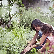 Les enfants dans le jardin