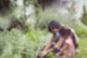 Kids in the Garden