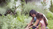 Homemade Pesticide Recipes