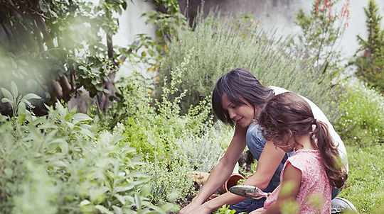 Les enfants dans le jardin