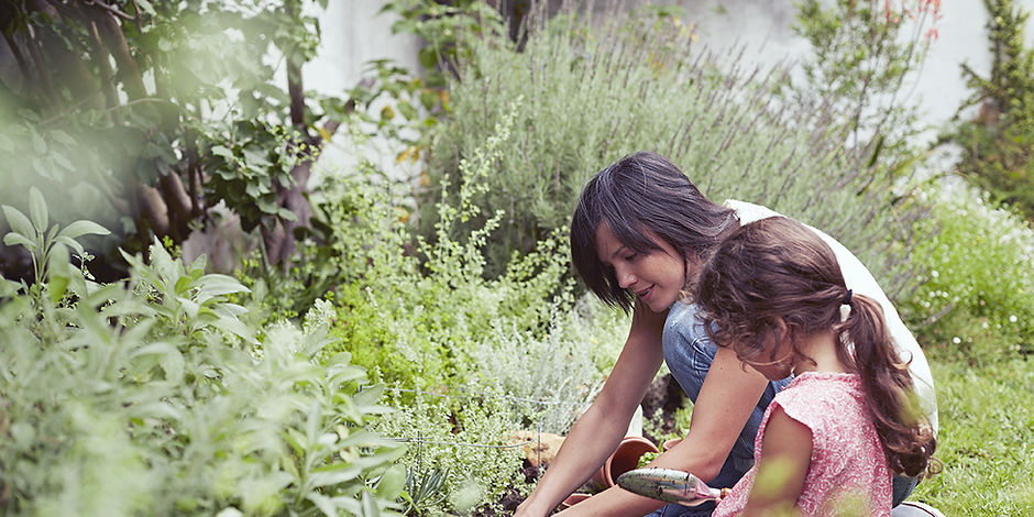 learning about herbs and plants