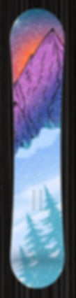 Snowboard Skins