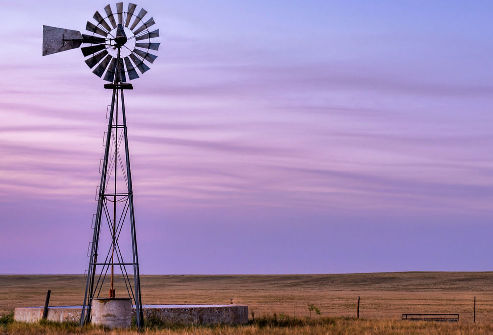 shutterstock_1180903105_edited_edited.jpg