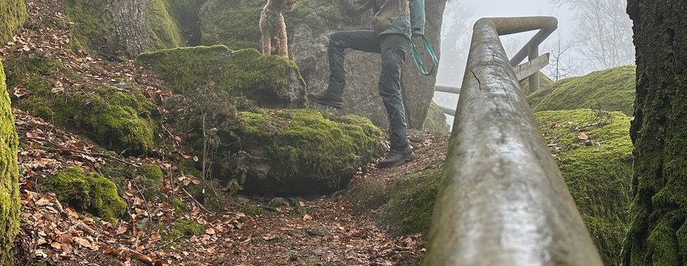 Fiona und Cody beim Wandern im Nebel