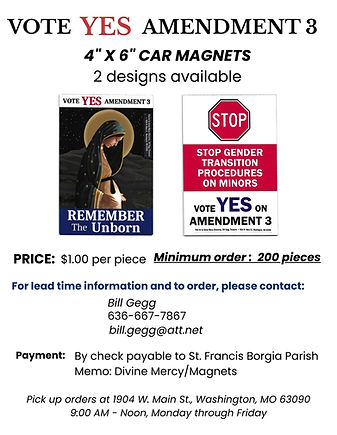 Magnets flyer updated w price.jpg