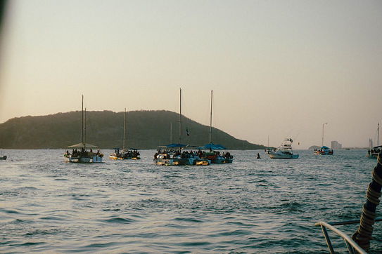 DSC09231.jpg