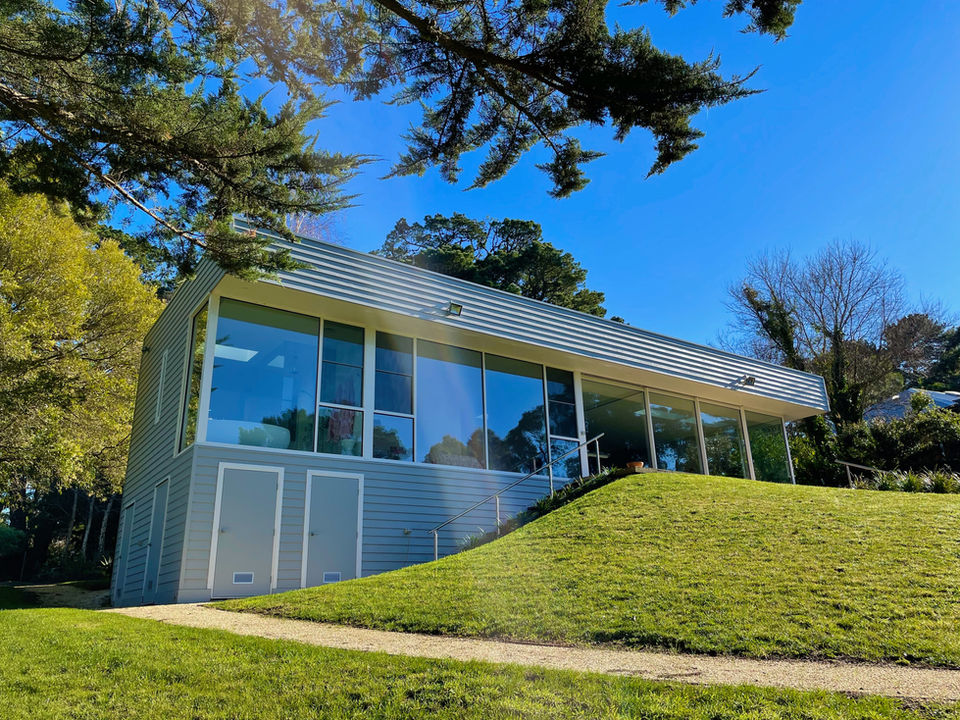 _IMG_6628 Colored.jpeg