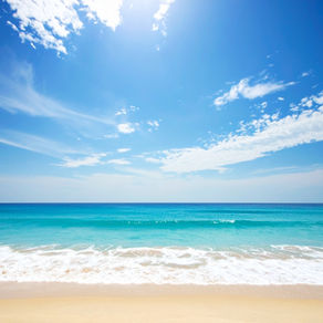 天導聖龍先生 自己紹介