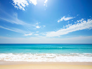 天導聖龍先生 自己紹介