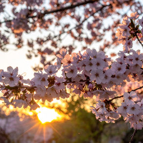 天照天珠先生 自己紹介