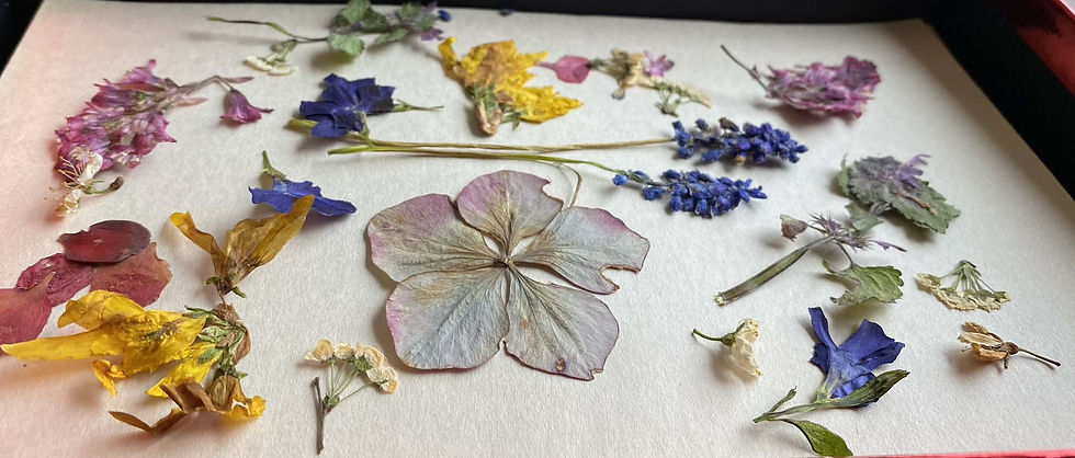 Atelier "Sublimez votre été"