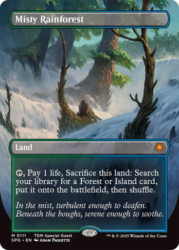 Misty Rainforest (SPG) (111) / Borderless