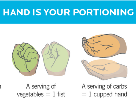 Hand Portion Tracking