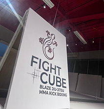 FIGHT CUBE