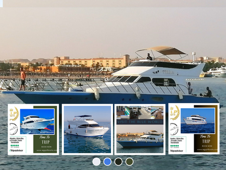 Dive into the Depths of the Blue World aboard Our Private Boats :