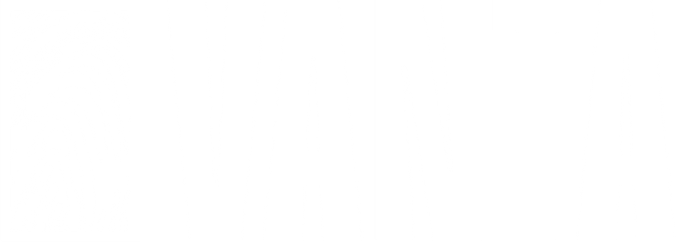VANTA_logo_white.png