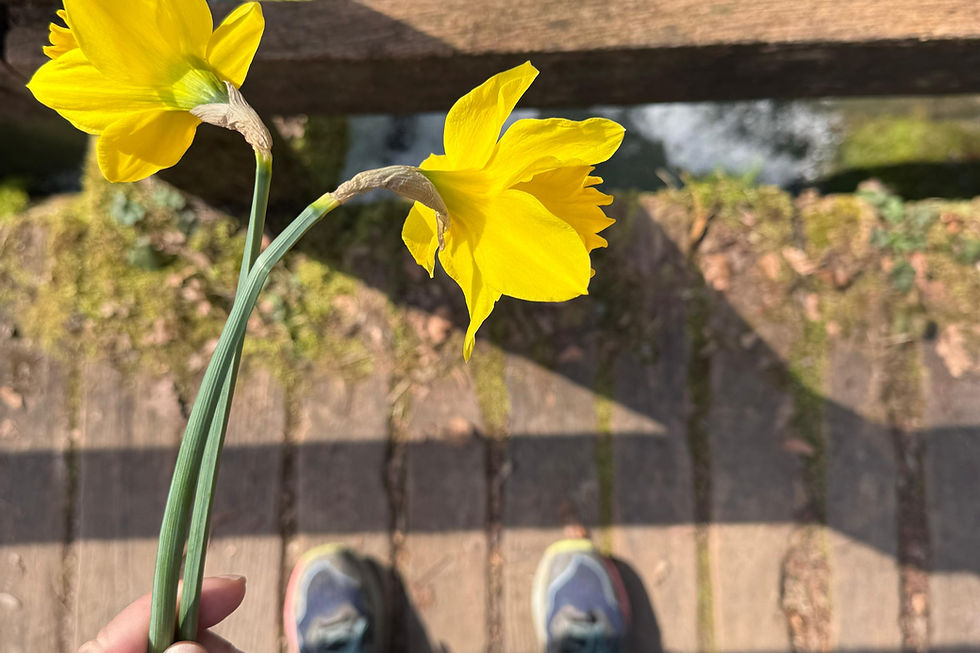 Move & Eat - chemin des Jonquilles