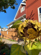 IMG_3910.jpeg