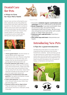 July Newsletter (4).png
