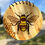 Thumbnail: Save the Bees!