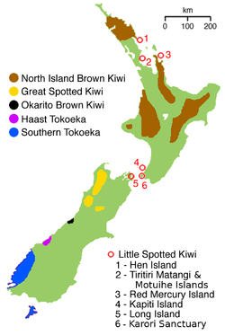 kiwi distribucion.gif