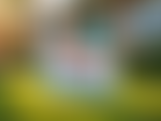 Local Birthday Yard Sign Rentals