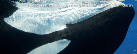 Ocean Embassy and the new book by Mark Simmons