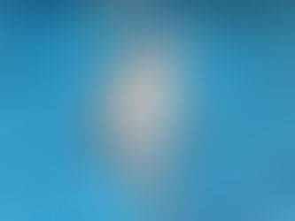 NSW bans dolphin breeding for entertainment, leaving QLD behind.