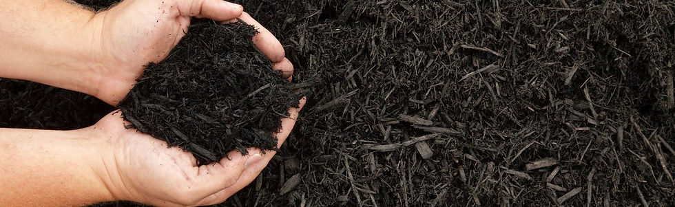 Mulch Image