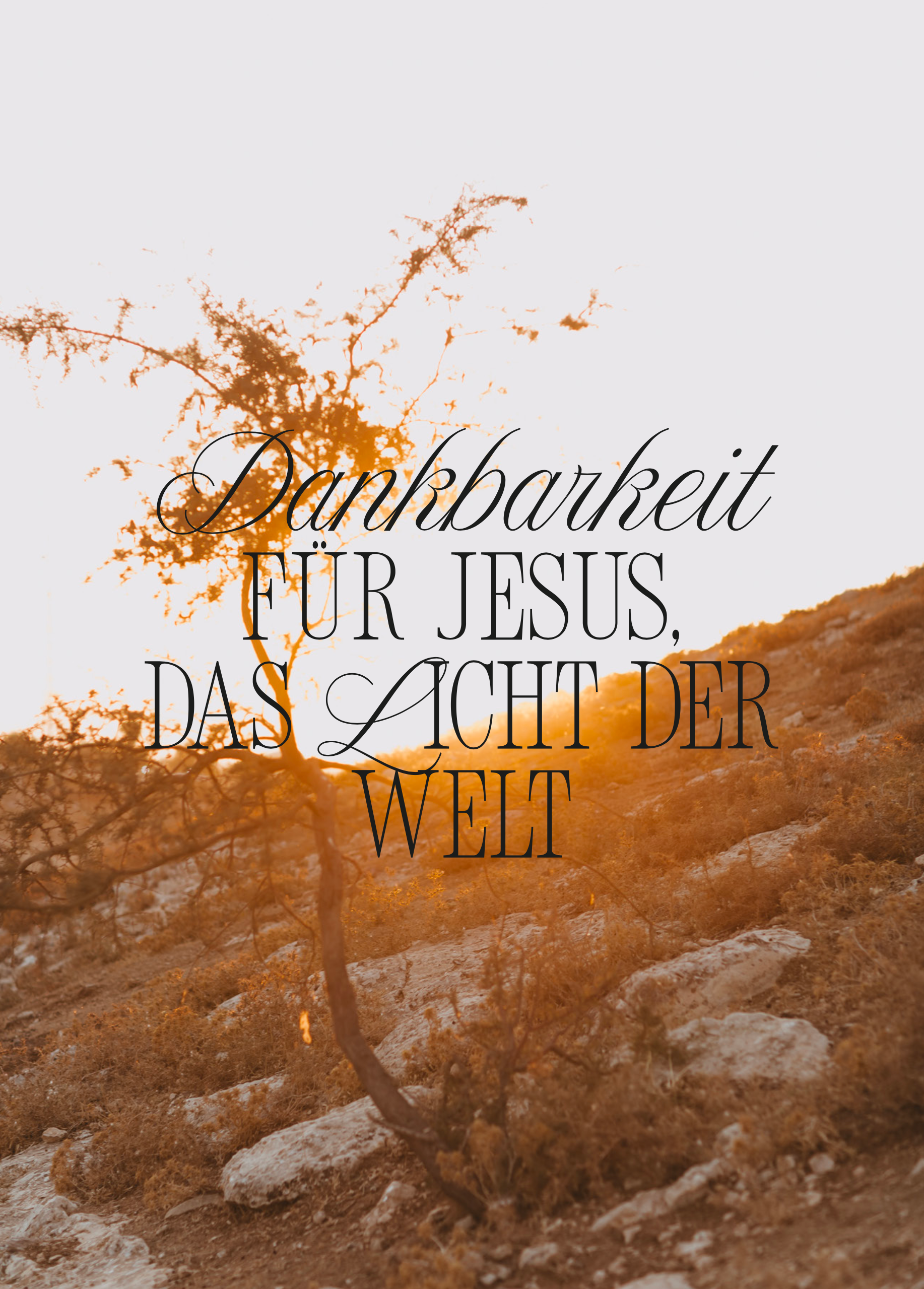 Baum auf felsigem Hügel im warmen Sonnenlicht bei Sonnenuntergang, mit der Aufschrift „Dankbarkeit für Jesus, das Licht der W