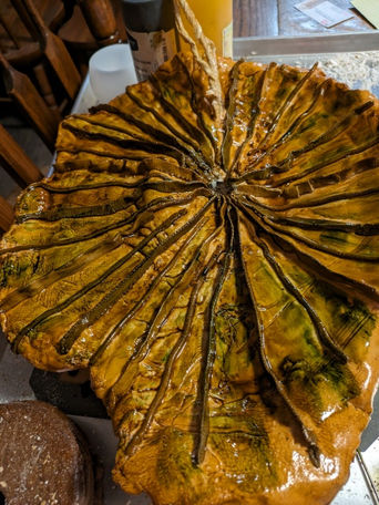 The hidden world by Sarah Cummings