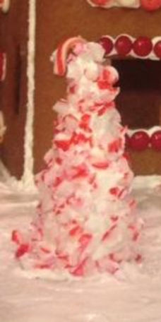 Number 7 Peppermint Lane by Carol Kimmett