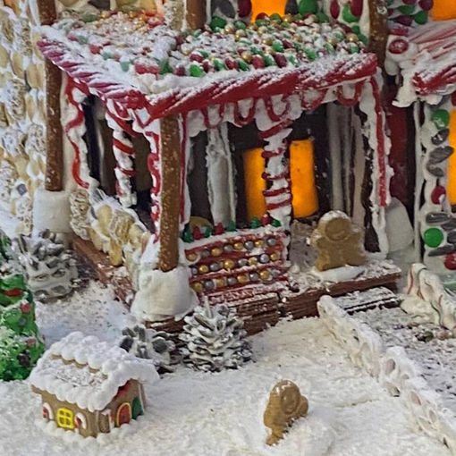 2021 Family Gingerbread House by Gay Fallin