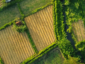 NOVO CENÁRIO JURÍDICO FORTALECE A ATIVIDADE RURAL NO BRASIL
