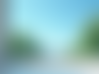 Crystal Clear Views: Top-notch Window Washing in Oswego