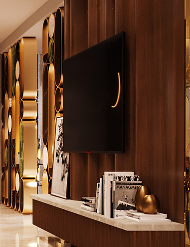 Living tv unit & Foyr Area 204.jpg