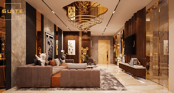 Living tv unit & Foyr Area 204.jpg