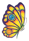 butterfly orly_edited.png