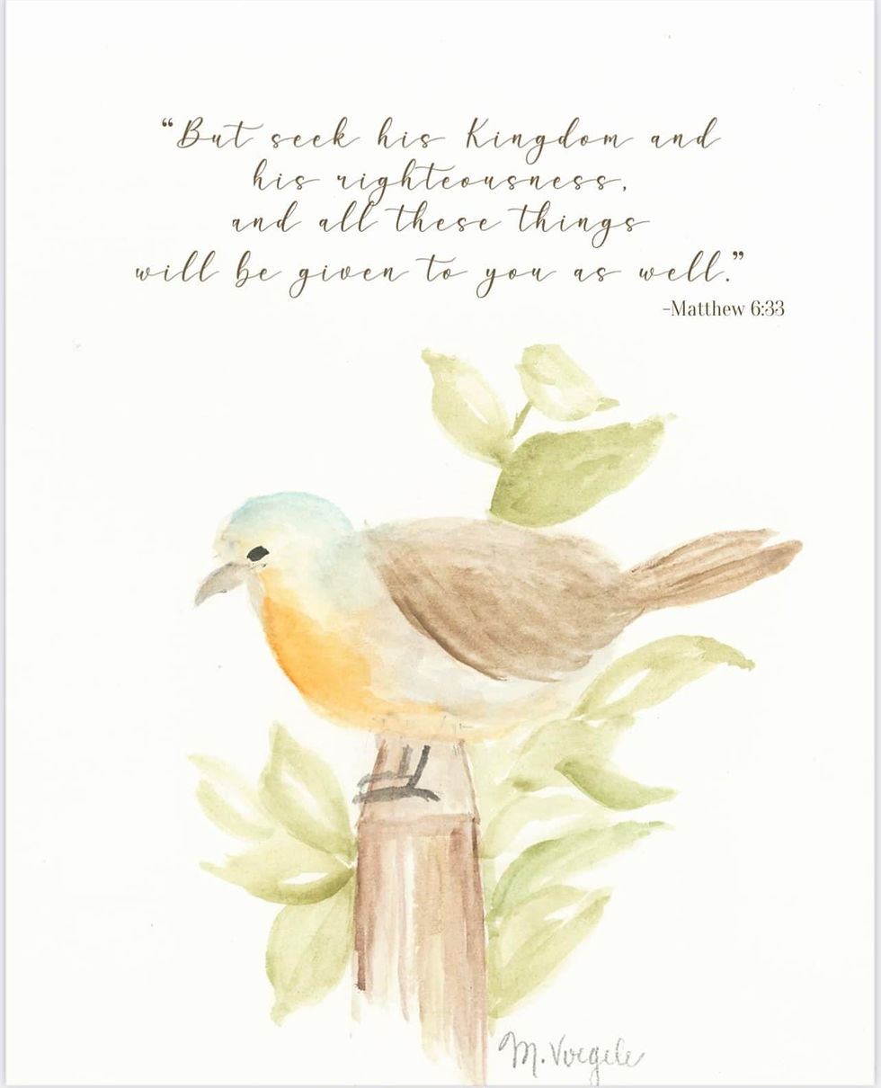Bird on fence-Matthew 6:33