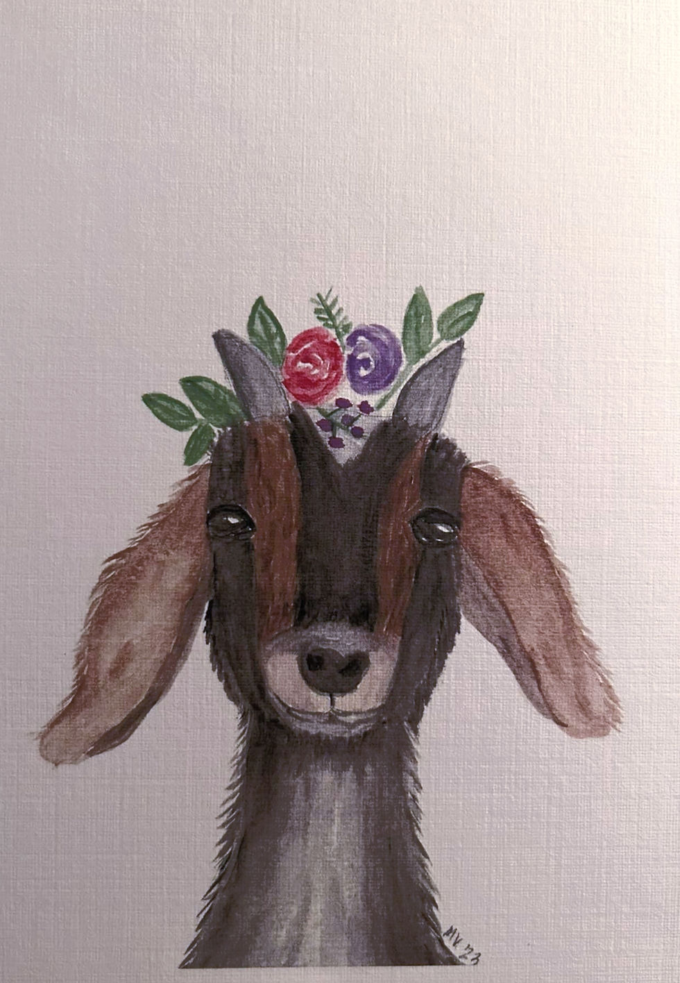 Gracie goat