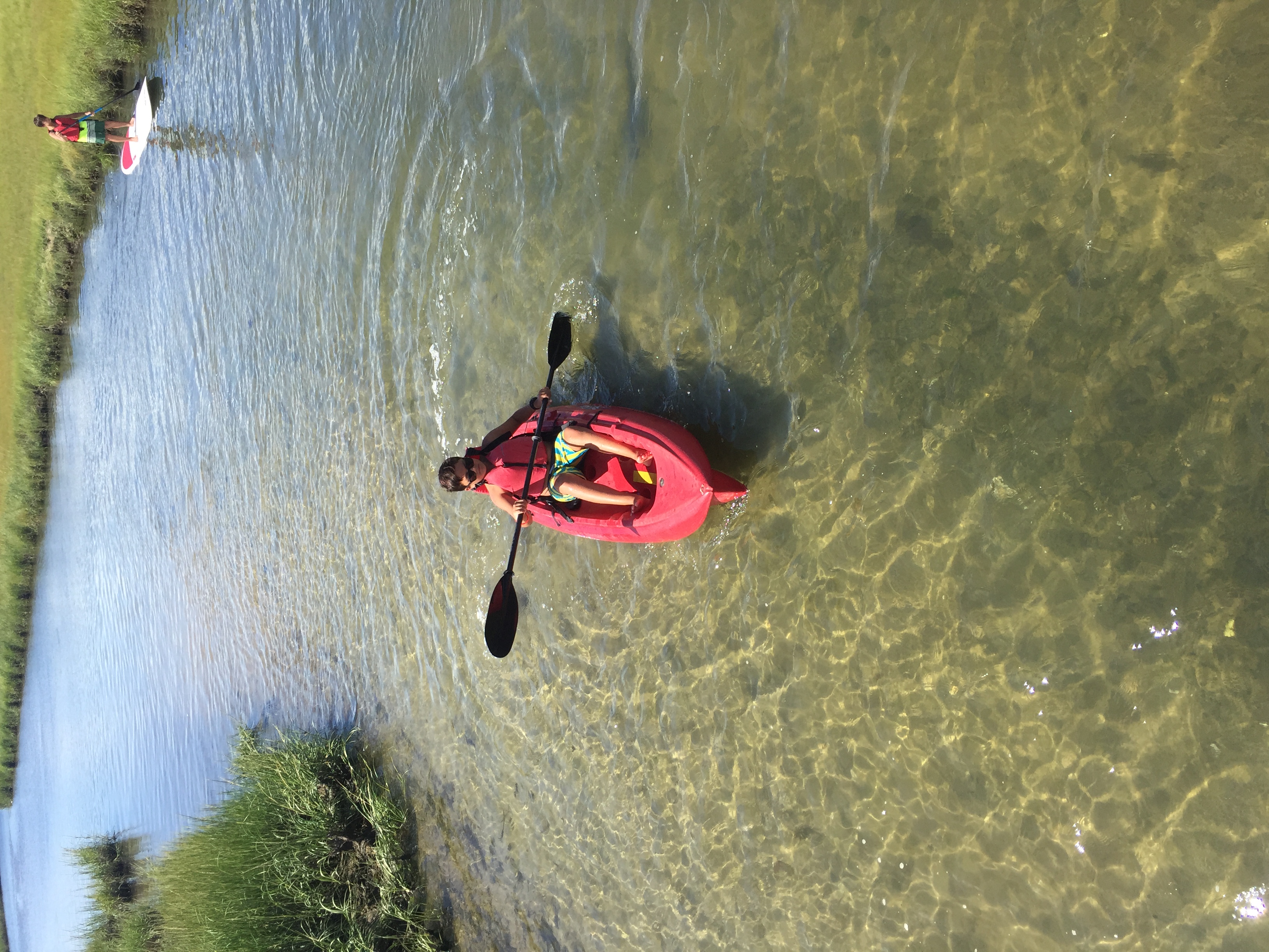 Rentals & Rates Sail, SUP and Kayak Chatham, MA