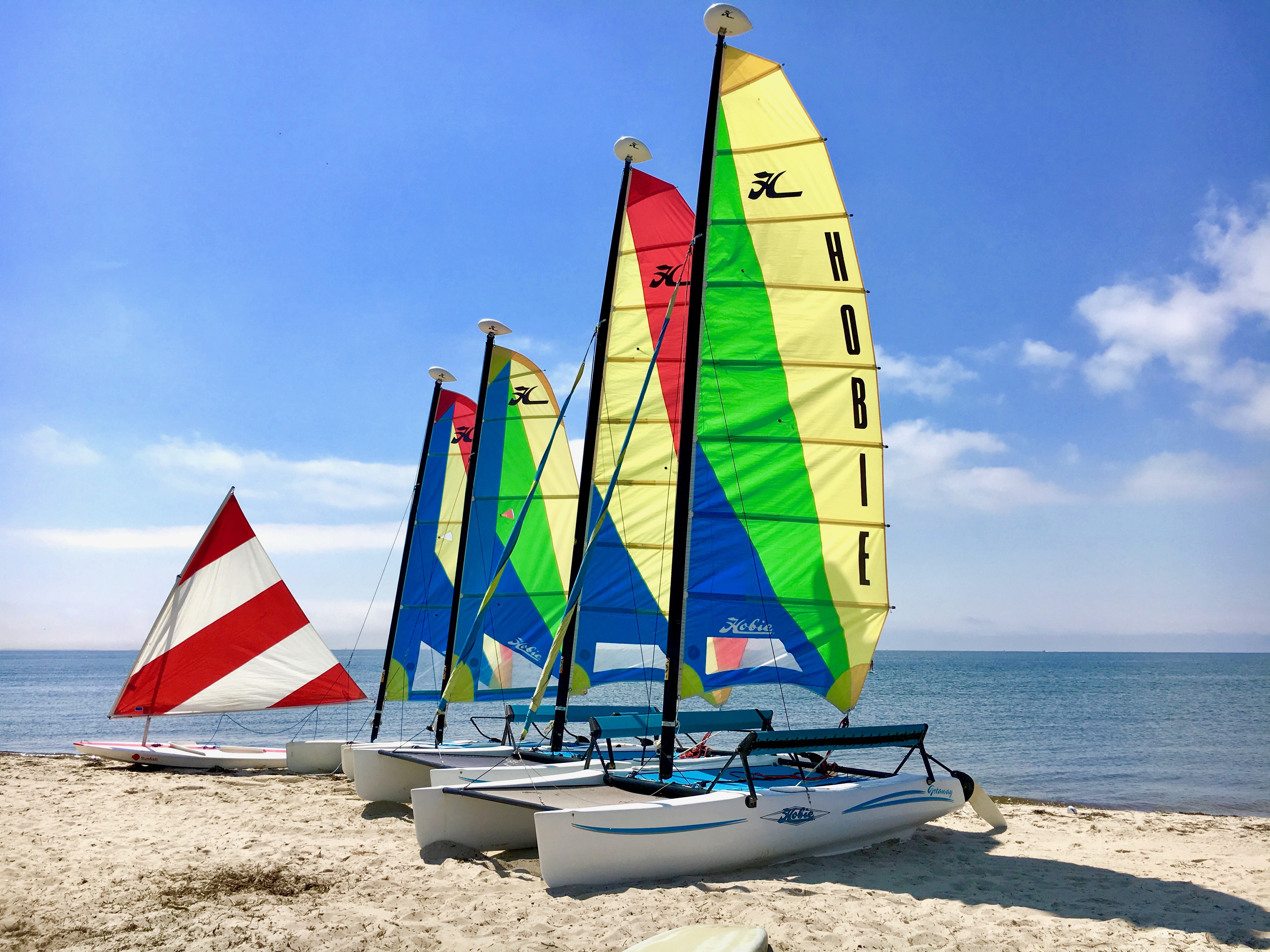 Rentals & Rates Sail, SUP and Kayak Chatham, MA