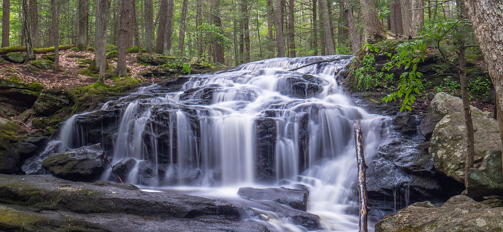 vermont lgbtqia therapy