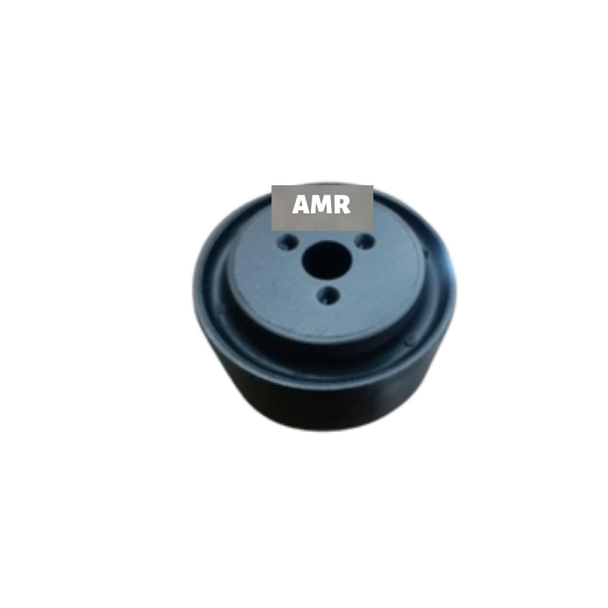 AM-1604 V-STAY BUSH FOR EICHER