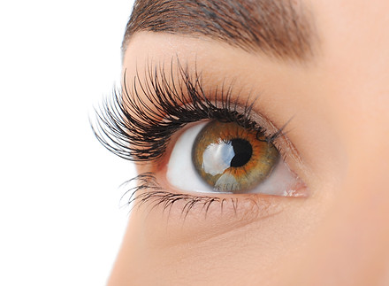 Make-up. Eyebrow Makeup. Eyes_.jpg