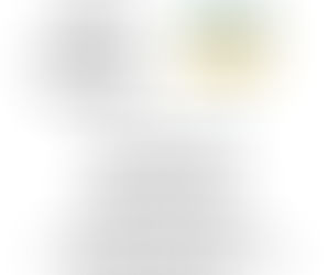 Formby Project coffee morning this Saturday 13th August