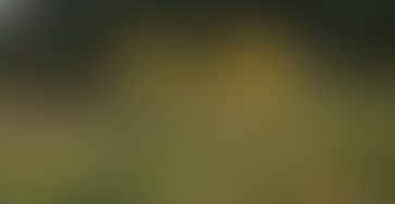 Teenager Airlifted after motorbike Accident