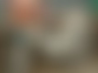 Join in on a family bike ride through Formby Pinewoods